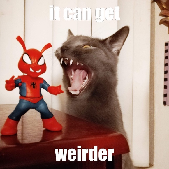 Meet your Posher, Karen - Picture 6 of 8